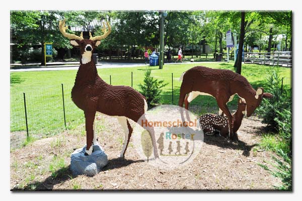 The Buck, Doe and Fawn display has 84,442 LEGO pieces and took 540 hours to put together.