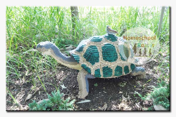 The Galapagos Tortoise and Darwin Finch display has 23,317 LEGO pieces and took 290 hours to put together.