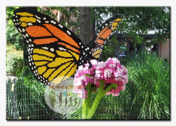 The Monarch Butterfly display has 39,708 LEGO pieces and took 425 hours to put together.