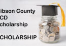 Scholarship: Gibson County SCD Scholarship