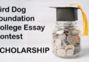 SCHOLARSHIP: Bird Dog Foundation College Scholarship Essay Contest