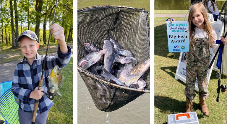 POSTcollierville_fish_rodeo